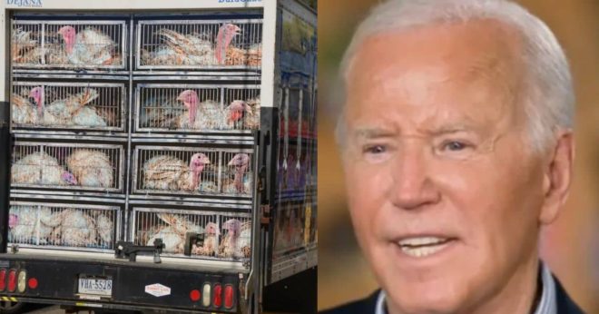 PETA Sends Brutal Message to Biden Outside White House As He Prepares to Move Out