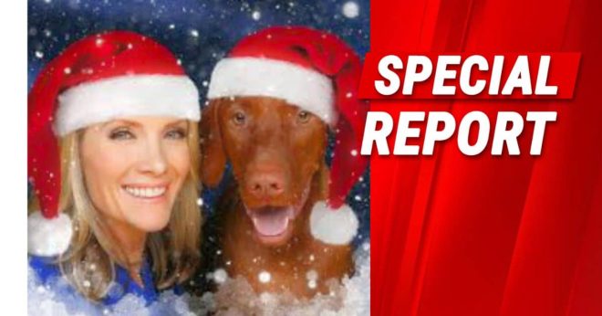 Dana Perino Reveals Game-Changing Christmas Advice – You'll Want This for Your Next Party