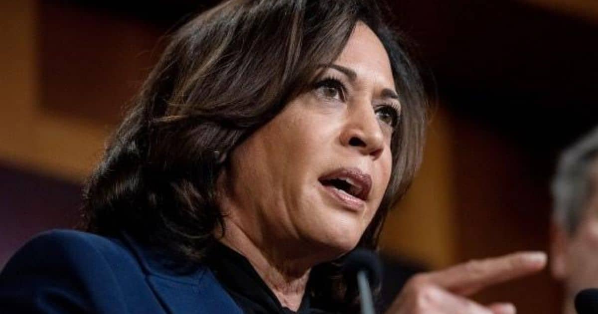 Kamala Harris Blindsides Nation in Latest Speech - She Orders her Supporters to Take Terrifying Action