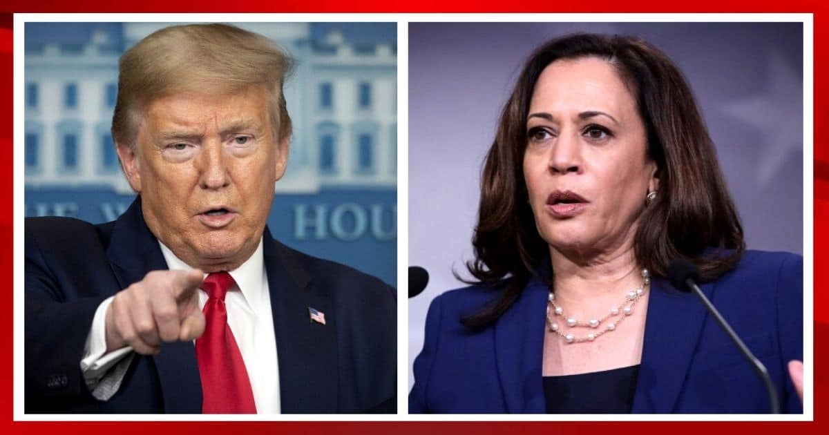 Trump Celebrates As Kamala Raises the Topic of Immigration, Believes It ...