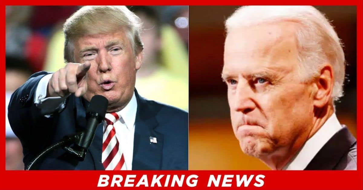 After Report Ties Biden Donors to Protesters - Trump Delivers a Scathing Response