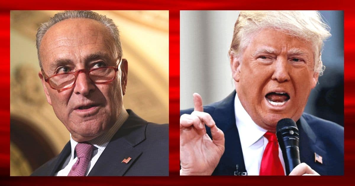 After Chuck Schumer Betrays Our Top Ally - Donald Trump Delivers 1 Grave Warning