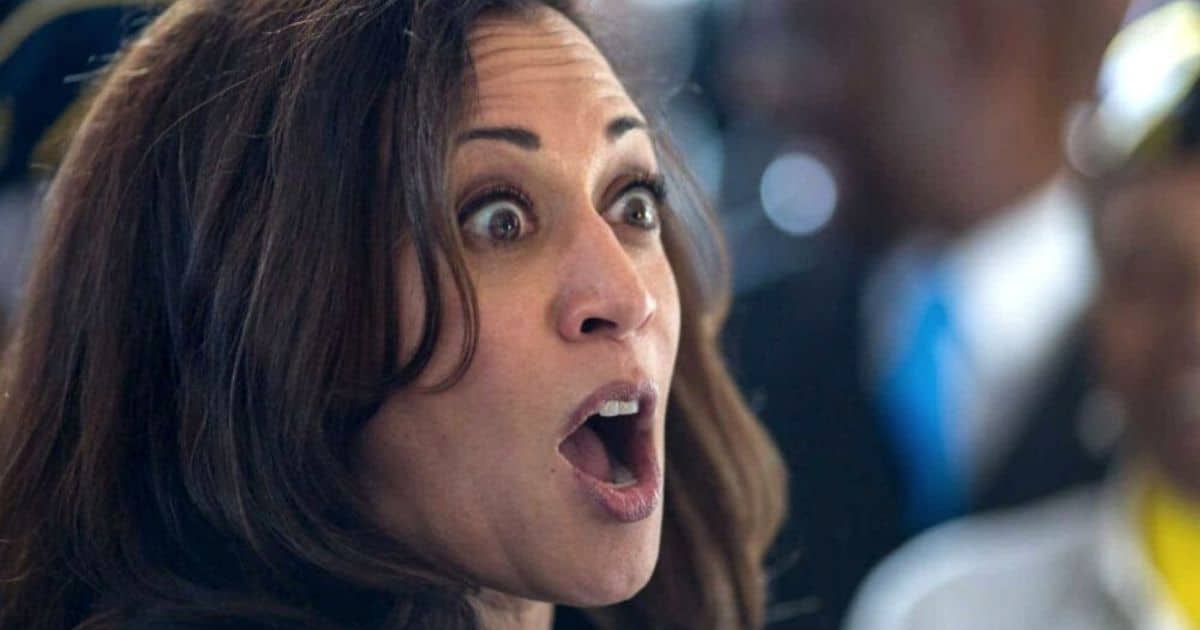 Kamala Harris Election Chances Plummet - Voters and Her Own DNC Just Ganged Up on Her