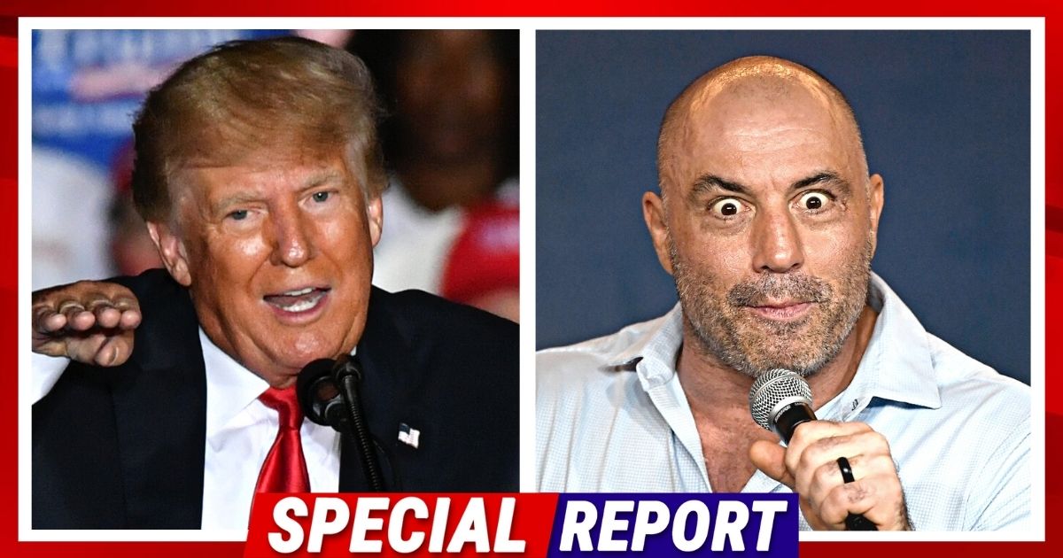 Donald Trump Gives Joe Rogan Advice - The Popular Podcaster Needs To ...