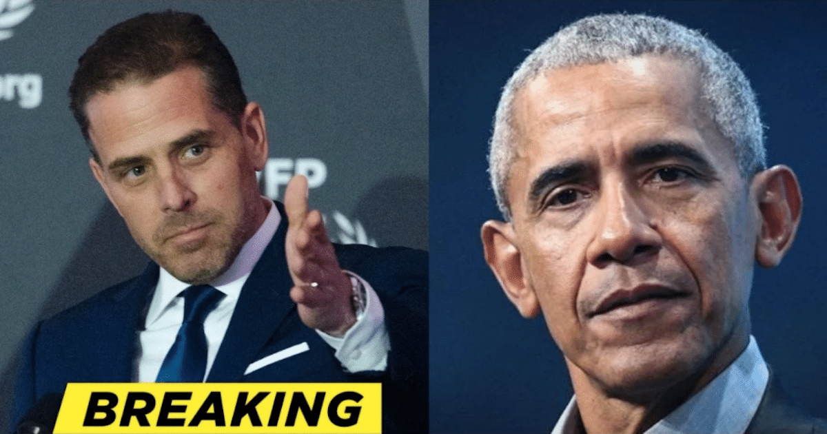 Shocking Obama Plot Just Came to Light - Hunter Ally Drops This Major Bombshell