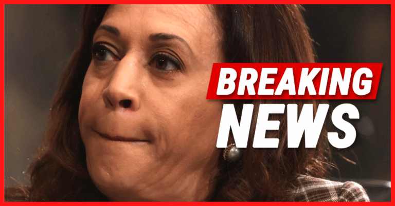 Days After Kamala Considered to Replace Biden – Her Biggest Secret Tumbles Out of Her Closet