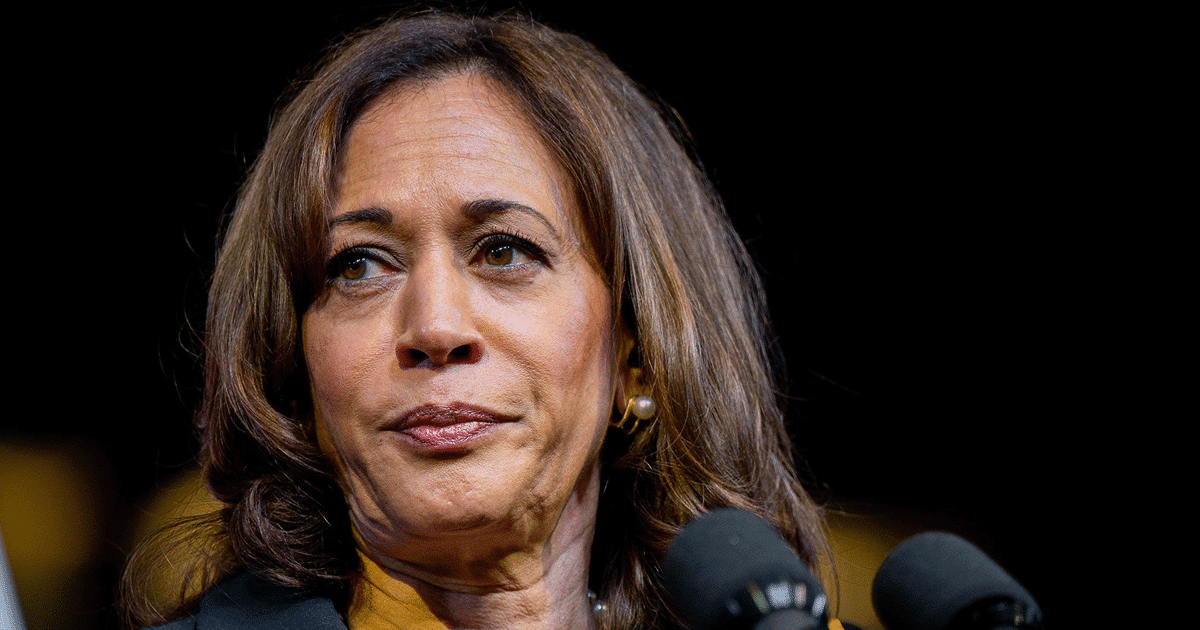 Kamala Suffers Christmas Day Humiliation - This 1 Photo Makes Her a Holiday Laughingstock