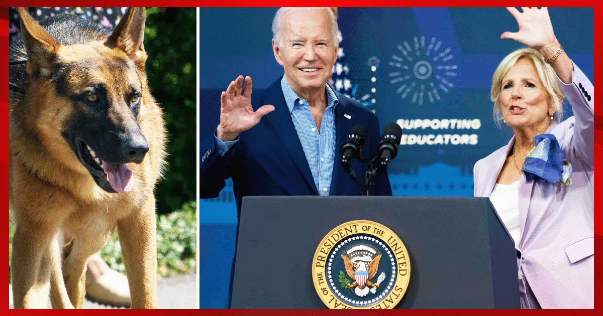 White House Scandal Erupts Over Biden's Dog - Insane Report Exposed, Shocking Attacks Detailed