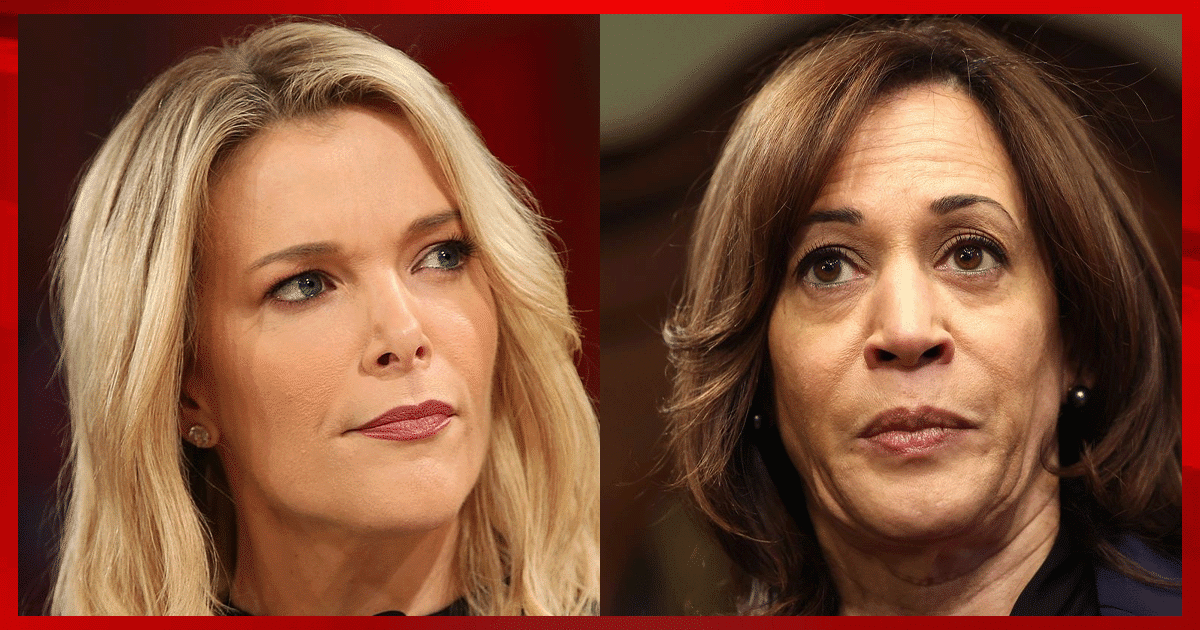 Megyn Kelly Shuts Down Kamala with One Word - Then Exposes Old Joe's Biggest Problem