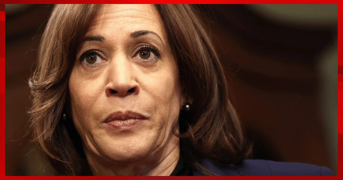 Kamala Crushed By Worst Report Yet - Then She Delivers a Completely Insane Reply