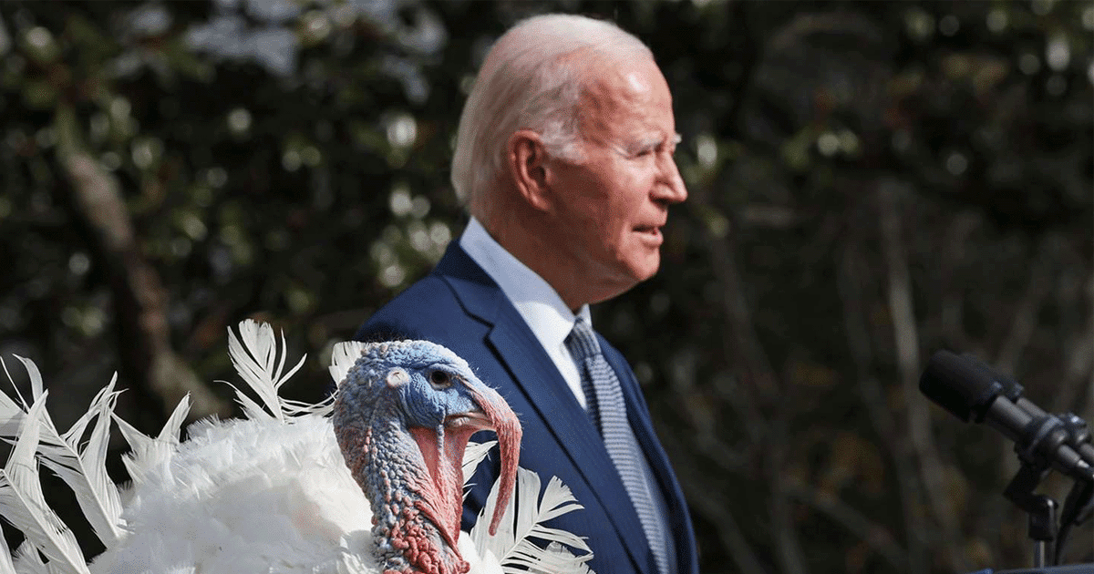 Biden Stuns America on 81st Birthday - 2 Big Celebrities Furious with Joe for Joke Gone Wrong