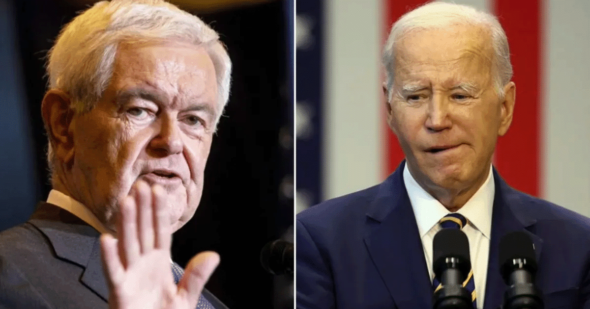 Gingrich Gives Biden Stunning New Nickname - He Just Condemned Joe for Country-Crushing Crisis