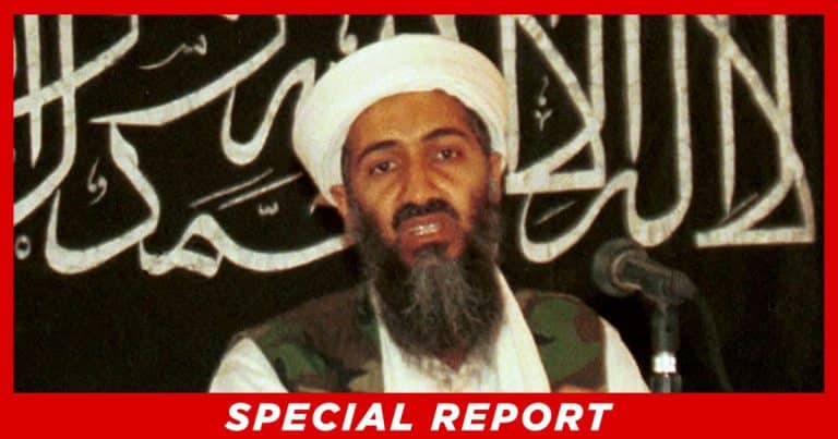 Bin Laden Survey Results Shock the Nation – This 1 Number Is Absolutely Terrifying
