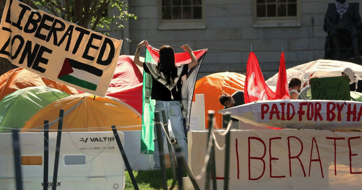 Woke Harvard Suffers Brutal Karma - Nobody Thought They'd Fall So Far So Fast