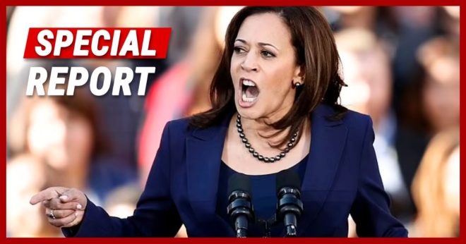 Hours After Kamala Calls Trump Fascist and Hitler - Here's What Undecided Voters Really Think