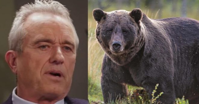 RFK Jr. Shares the Wildest Bear Story Ever - And Probably Just Ended His Political Chances