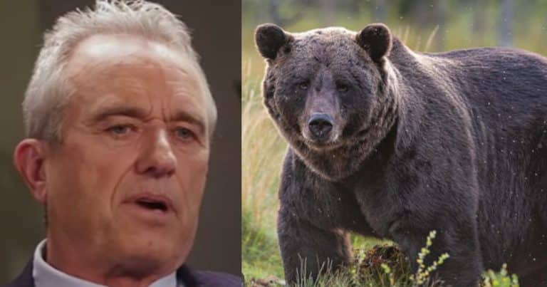 RFK Jr. Shares Wild Bear Story, Putting to Bed Decade-Old Central Park Mystery