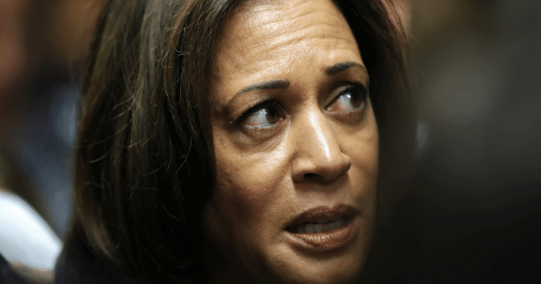 Top Kamala Adviser Confesses Her Past Polling Lead “Was Not Real”