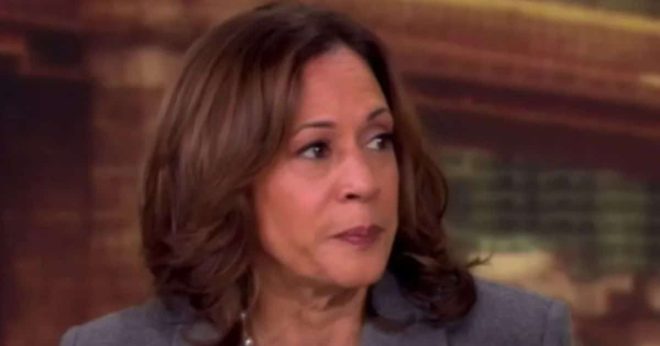 Kamala Slips Up On 'The View' - Makes Huge Admission That Could Destroy Her Campaign